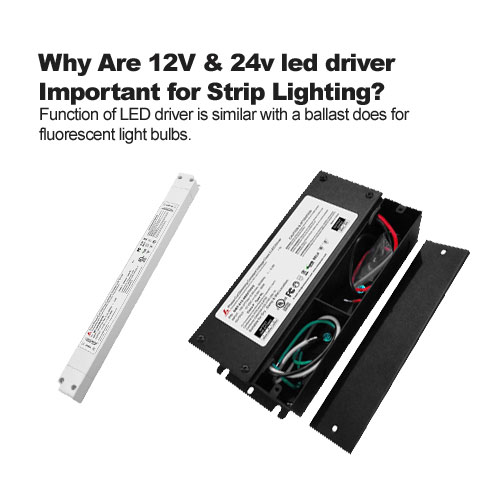 waarom zijn 12V & 24v led driver belangrijk voor strip Verlichting? 