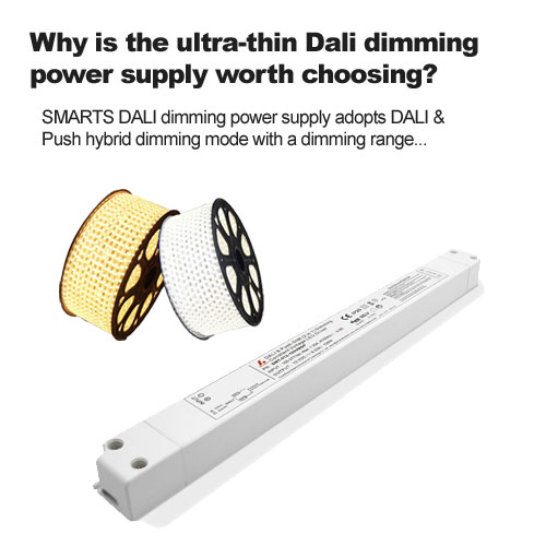 Waarom is de ultradunne Dali-dimvoeding de moeite waard om te kiezen?
        